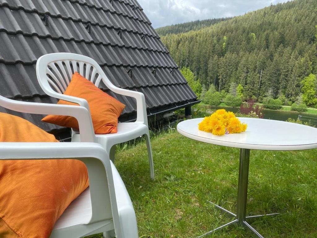 Haus Adler - Komplettes Ferienhaus Am Badesee Erzgrube Exteriör bild