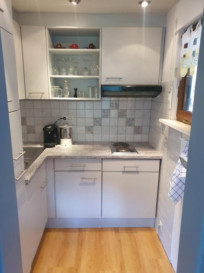 Haus Adler - Komplettes Ferienhaus Am Badesee Erzgrube Exteriör bild