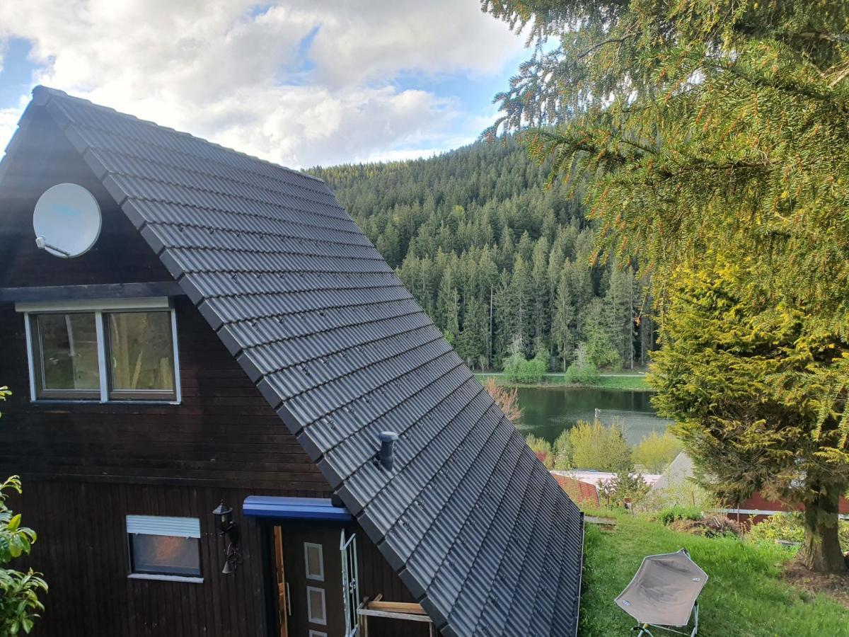 Haus Adler - Komplettes Ferienhaus Am Badesee Erzgrube Exteriör bild