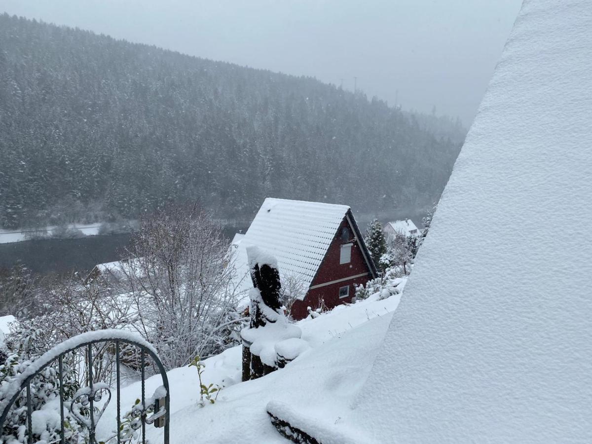 Haus Adler - Komplettes Ferienhaus Am Badesee Erzgrube Exteriör bild