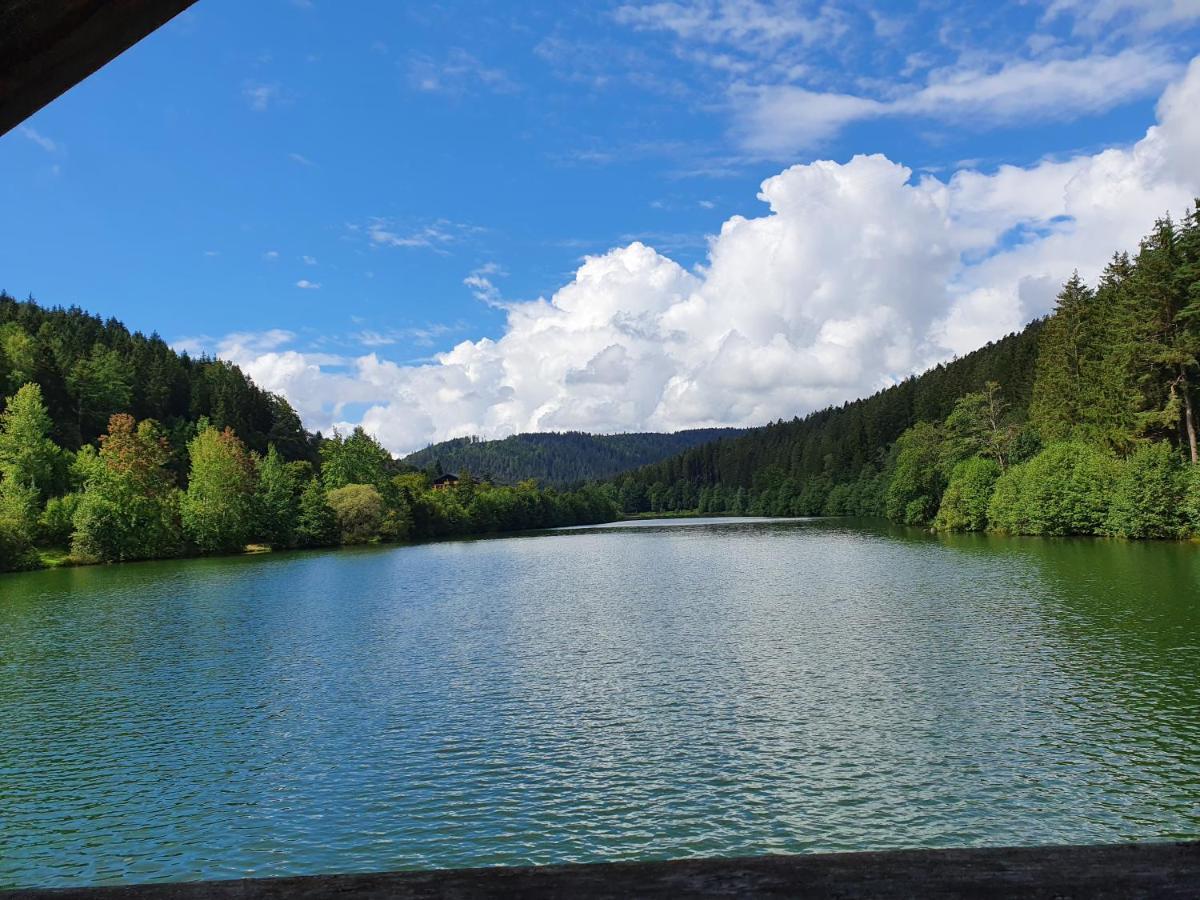 Haus Adler - Komplettes Ferienhaus Am Badesee Erzgrube Exteriör bild