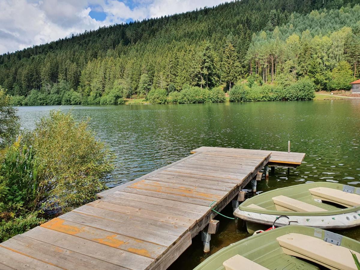 Haus Adler - Komplettes Ferienhaus Am Badesee Erzgrube Exteriör bild